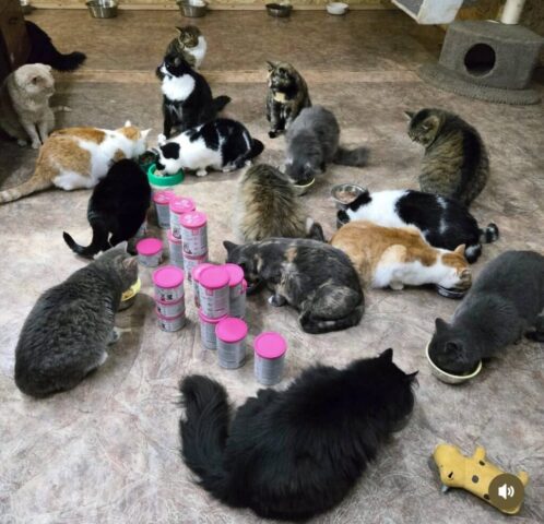 photo_2025-11-30_20-41-15