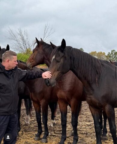 photo_2025-11-30_20-41-19