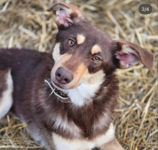 photo_2025-11-30_20-41-22