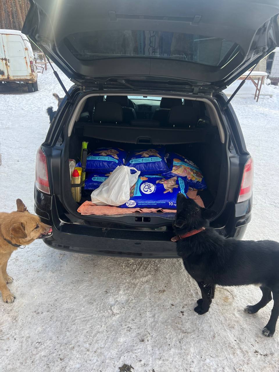 Звіт за збір допомоги для притулку тварин